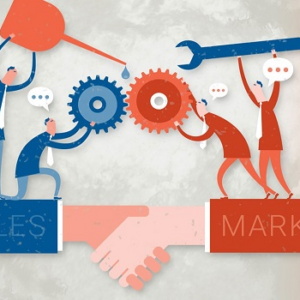 Phối hợp bộ phận Sales và Marketing trong quy trình xử lý lead – Vấn đề và giải pháp